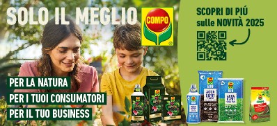 COMPO maxi banner 2025