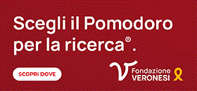 FONDAZIONE VERONESI