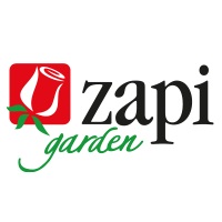 Zapi